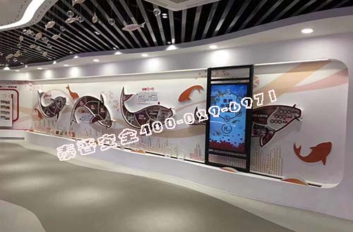 ���ذ�ȫ�������ѡ���ȫ���͵�������