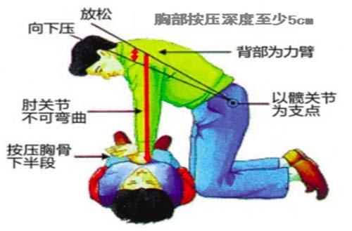 �������ذ�ȫ�����