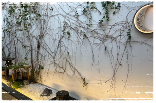 �ǻ۰�ȫ�����