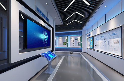 �ǻ۰�ȫ��ѵ����