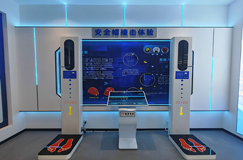 �ǻ۰�ȫ��ѵ����